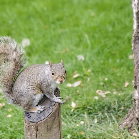 Park View Apartamento *