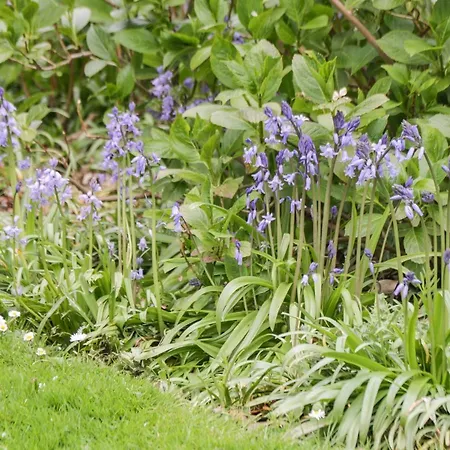 Daire Park View Whitby