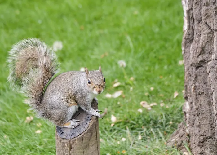 Park View דירה *