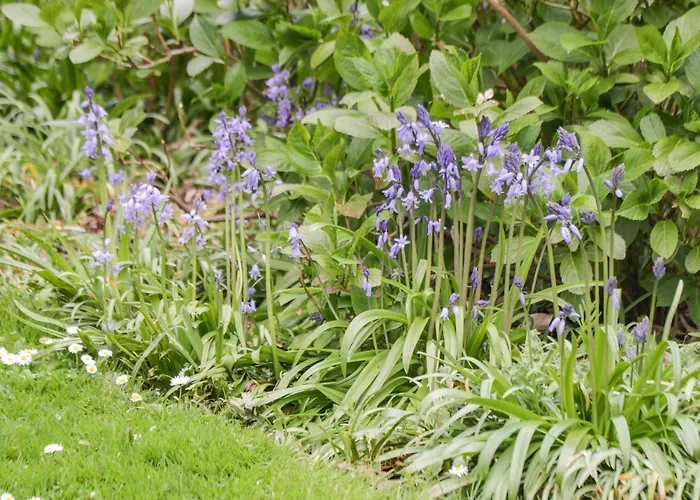 דירה Park View וויטבי