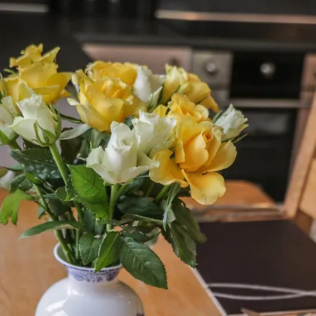 Park View Уитби